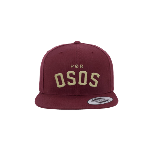 Tallahassee Logo Hat